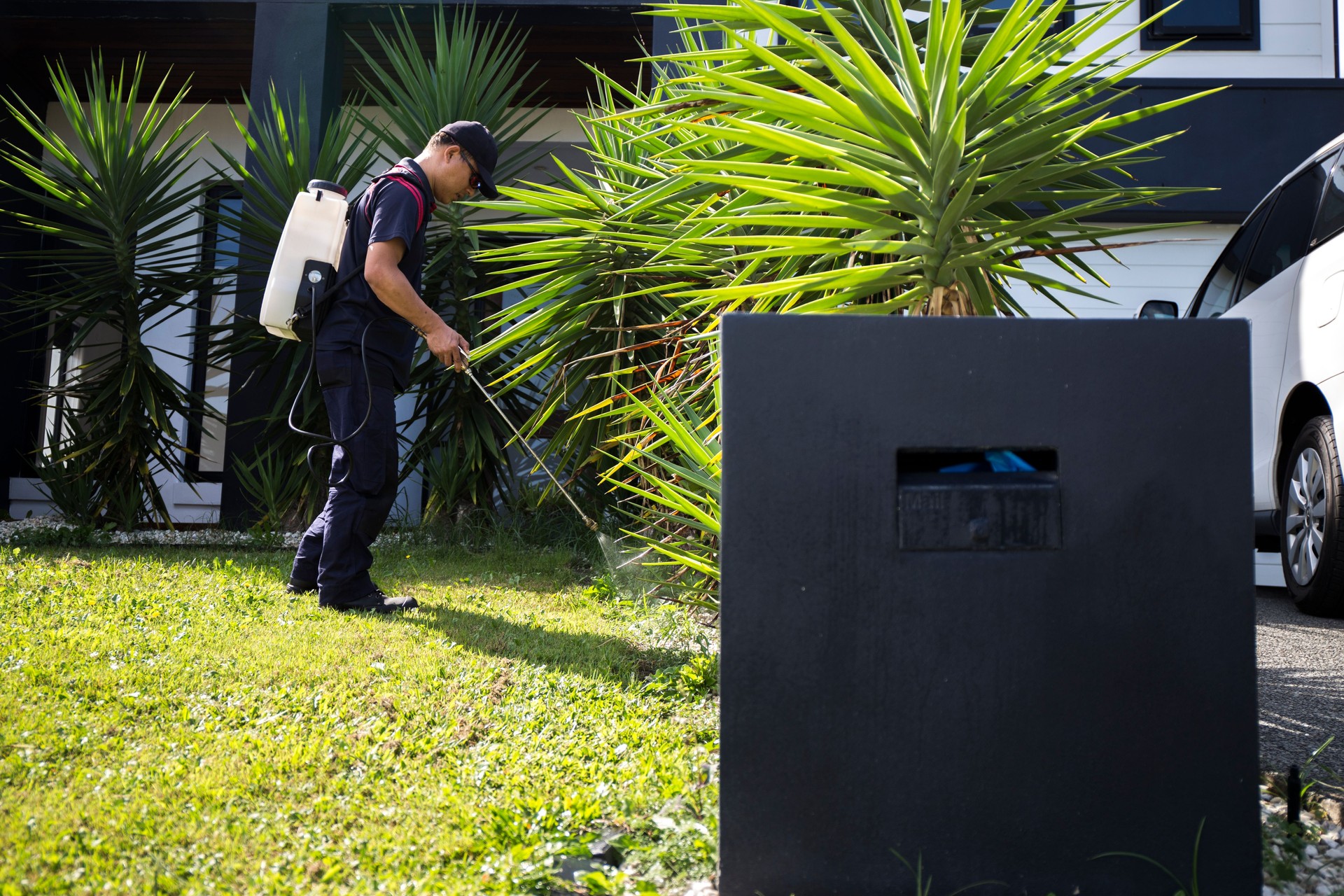 Pest Control Worker Spraying Pesticide
